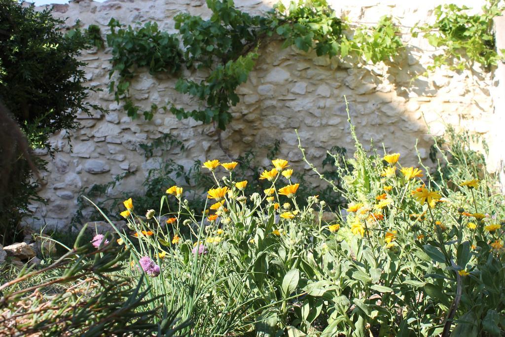 הוילה Thezan-des-Corbieres La Montagute מראה חיצוני תמונה